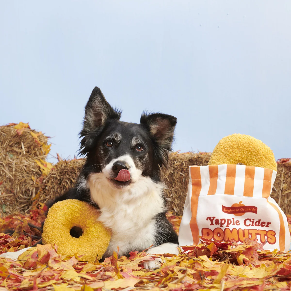 Yapple Cider Domutts Plush Extra-Large + Enrichment + Multi-Part Dog Toy