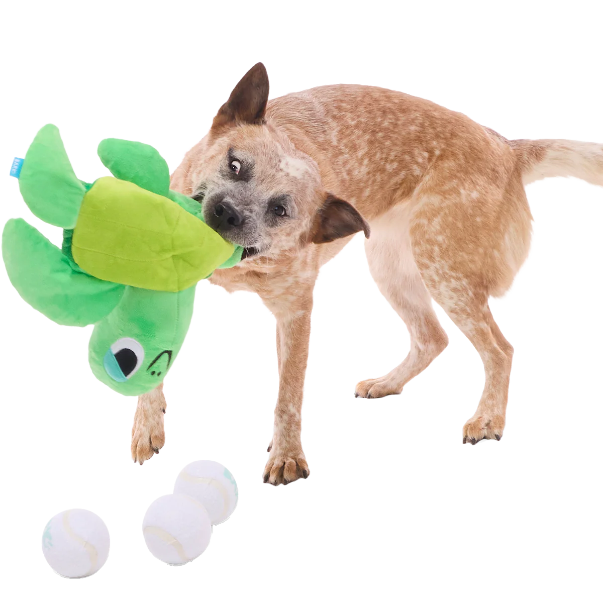 Fertile Myrtle Plush Extra-Large + Multi-Part  + Fetch Dog Toy