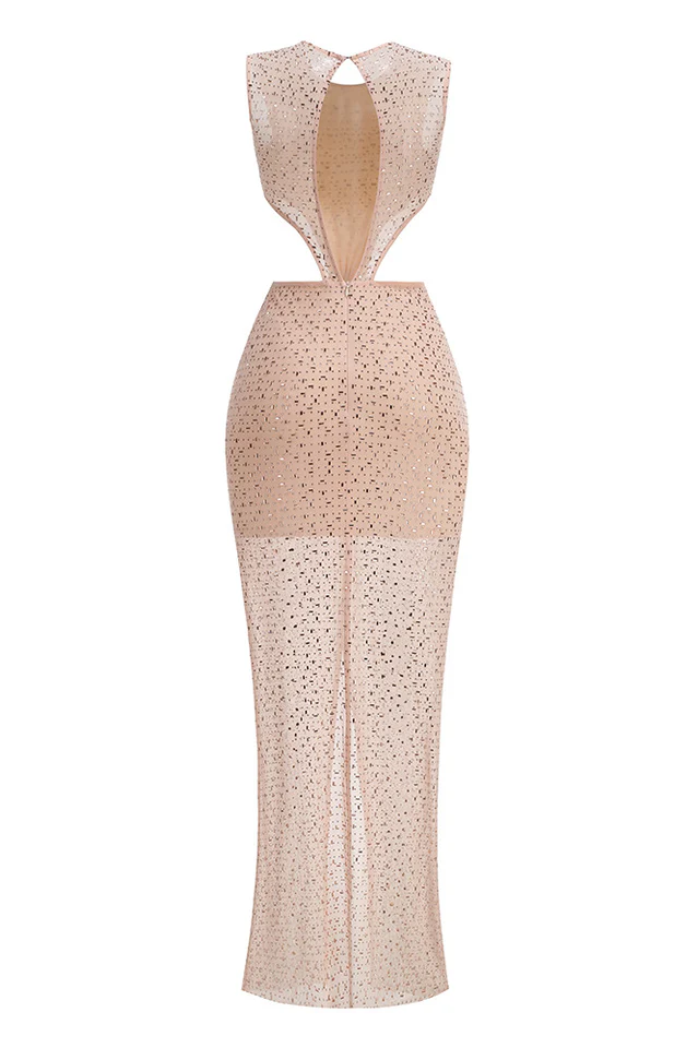 Crystal Embellished Cut Out Gown