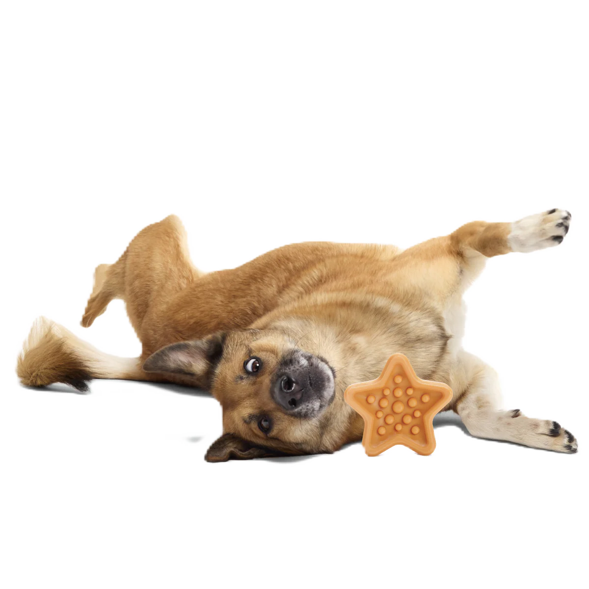 Starfish Snacker Super Chewer Durable Enrichment Dog Toy