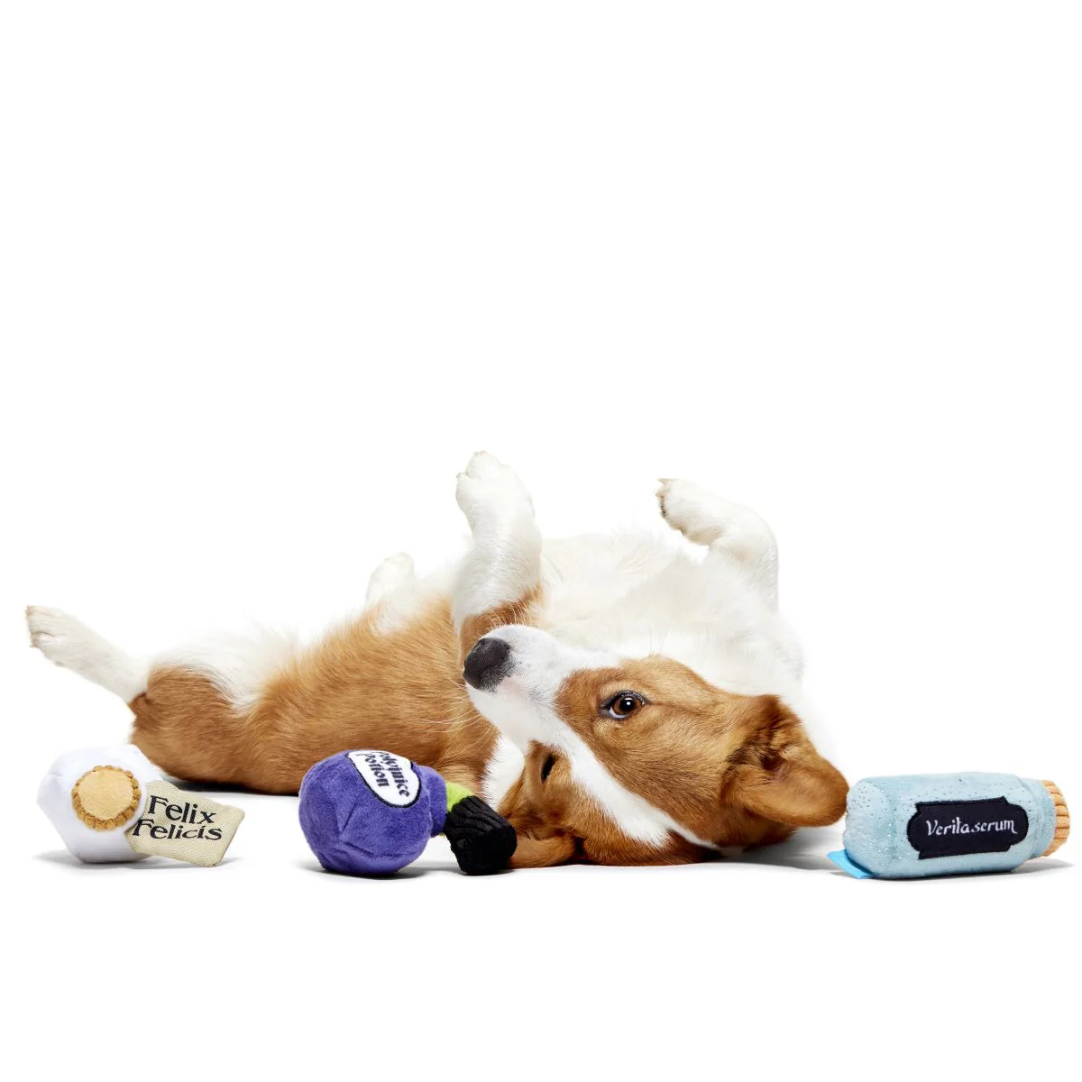 Potions Class Pack™ Plush Multi-Part Dog Toy