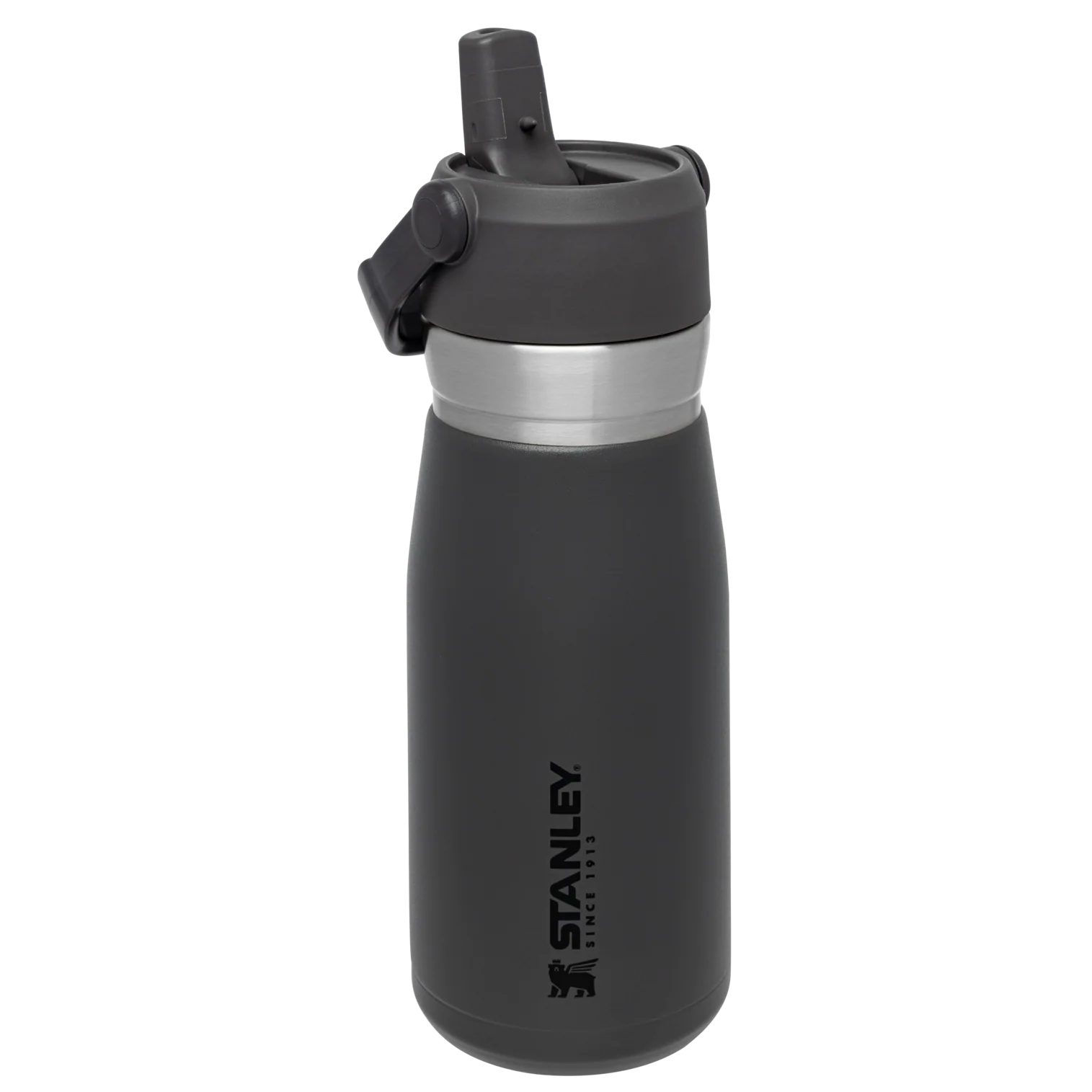 Go Flip Straw Water Bottle