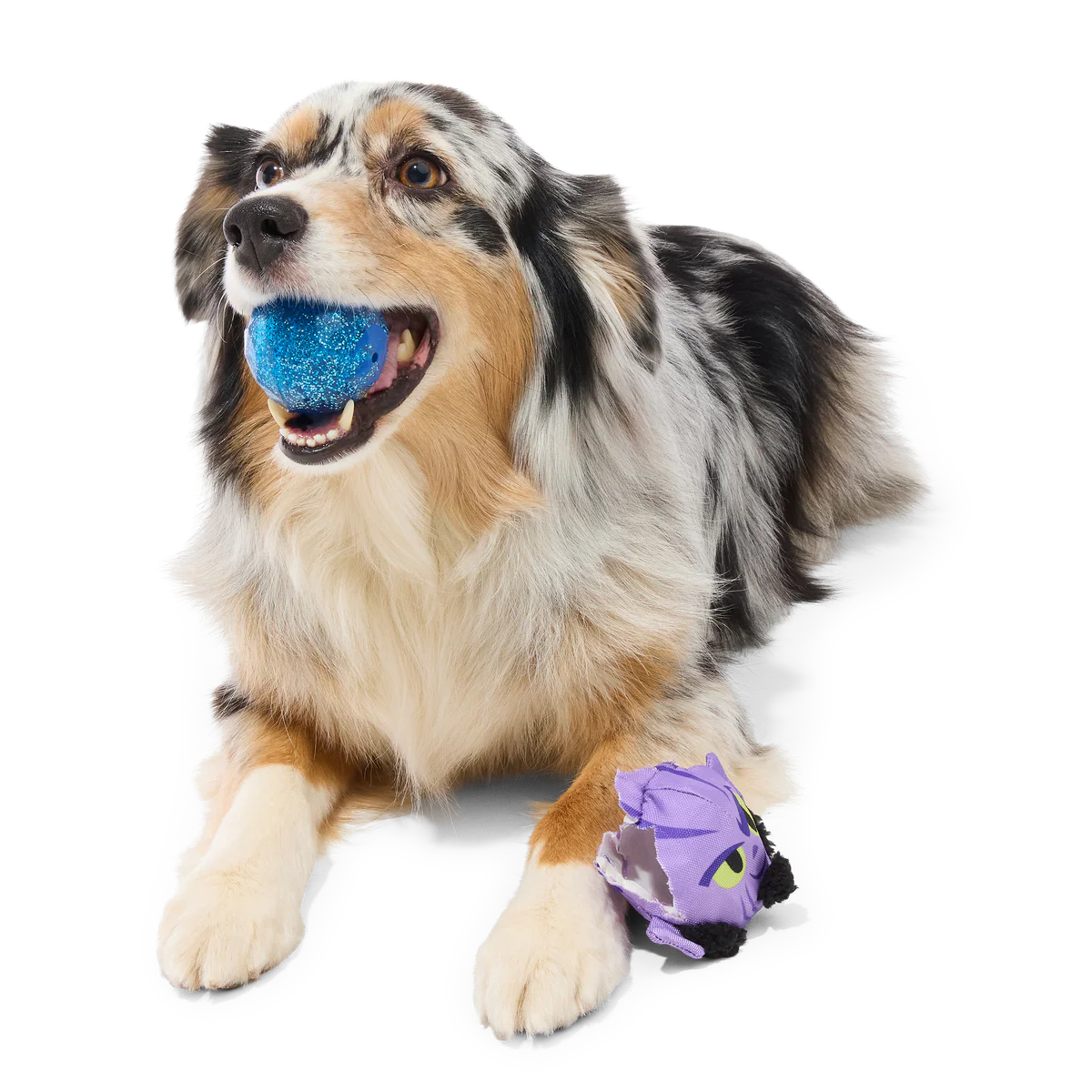Zeb Orrelios™ Super Chewer Durable 2-in-1 + Fetch Dog Toy