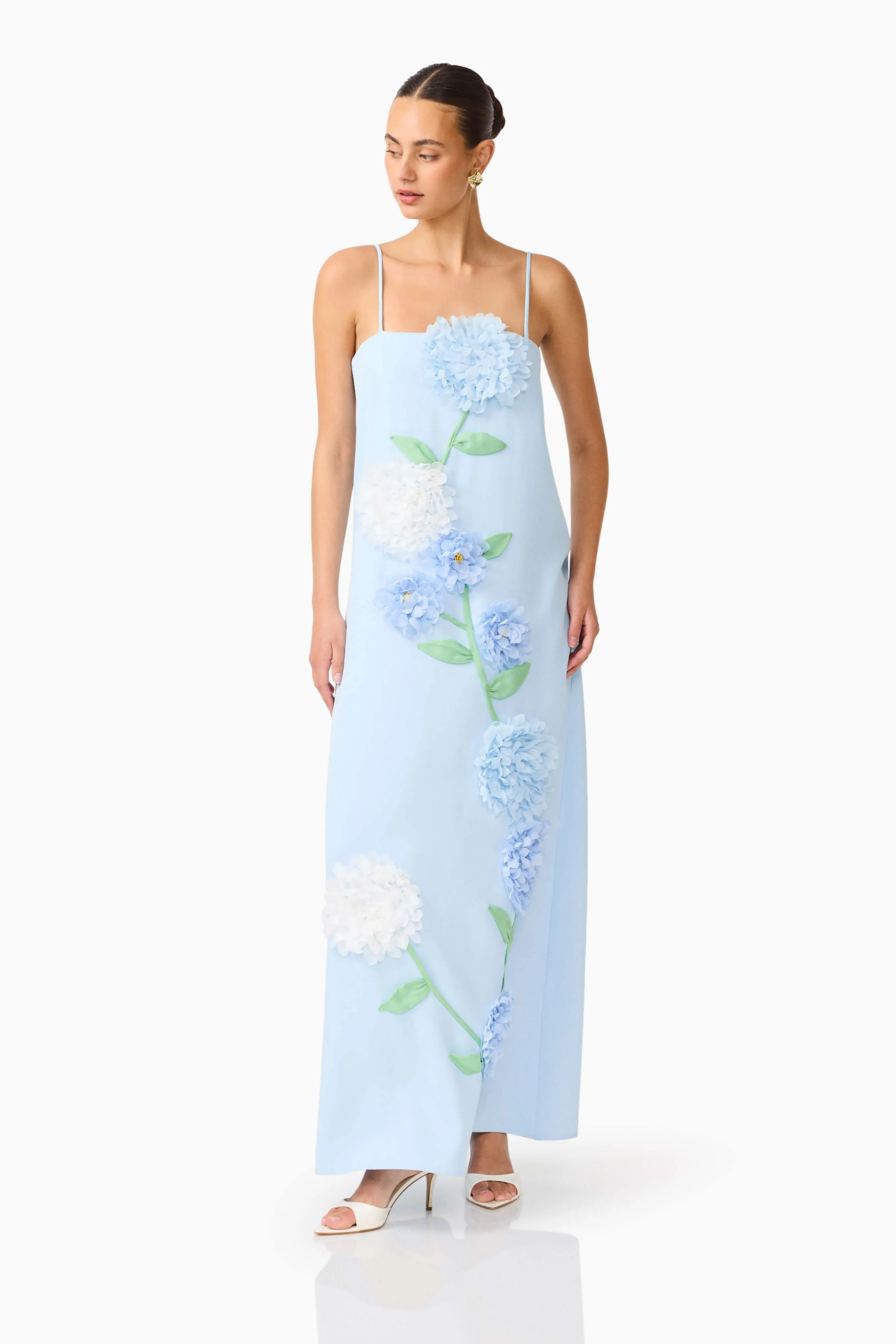 Buttercup Embroidered Maxi Dress In Blue