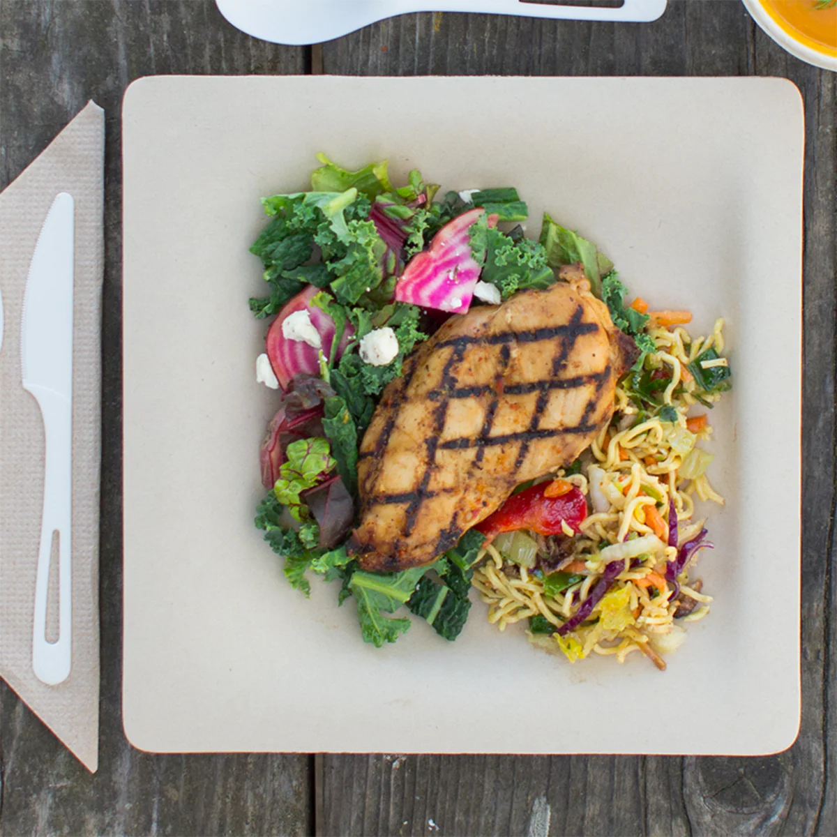 World Centric's Compostable Plate Samples