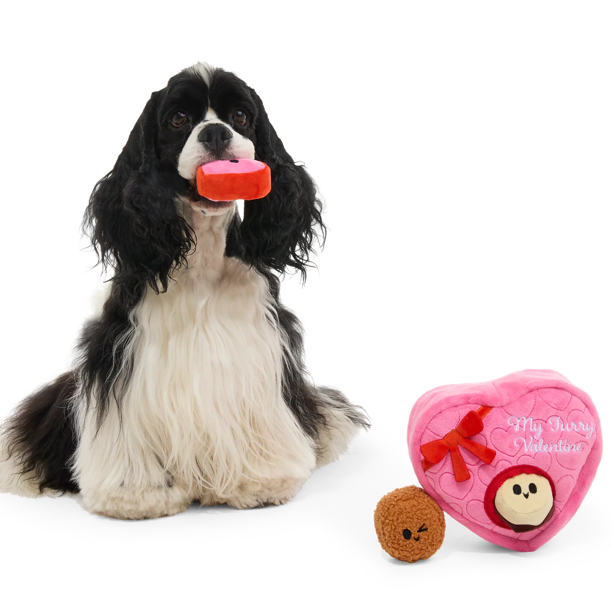 My Furry Valentine Chocolicks Plush Multi-Part + Enrichment Dog Toy