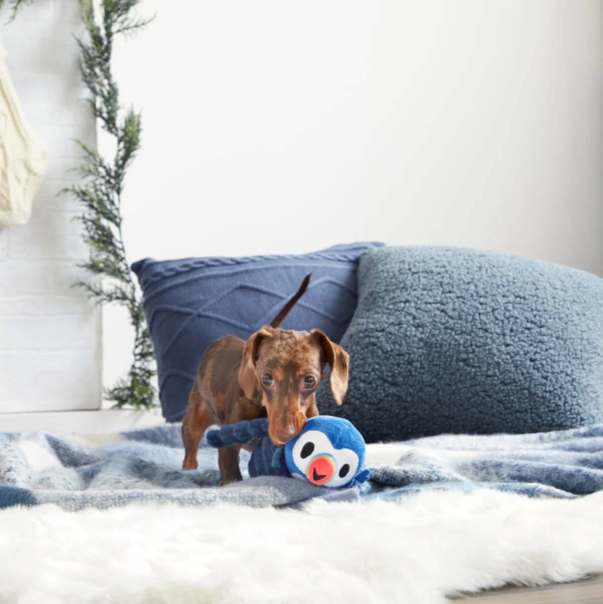 Puffer Puffin Plush Multi-Part + Enrichment Dog Toy