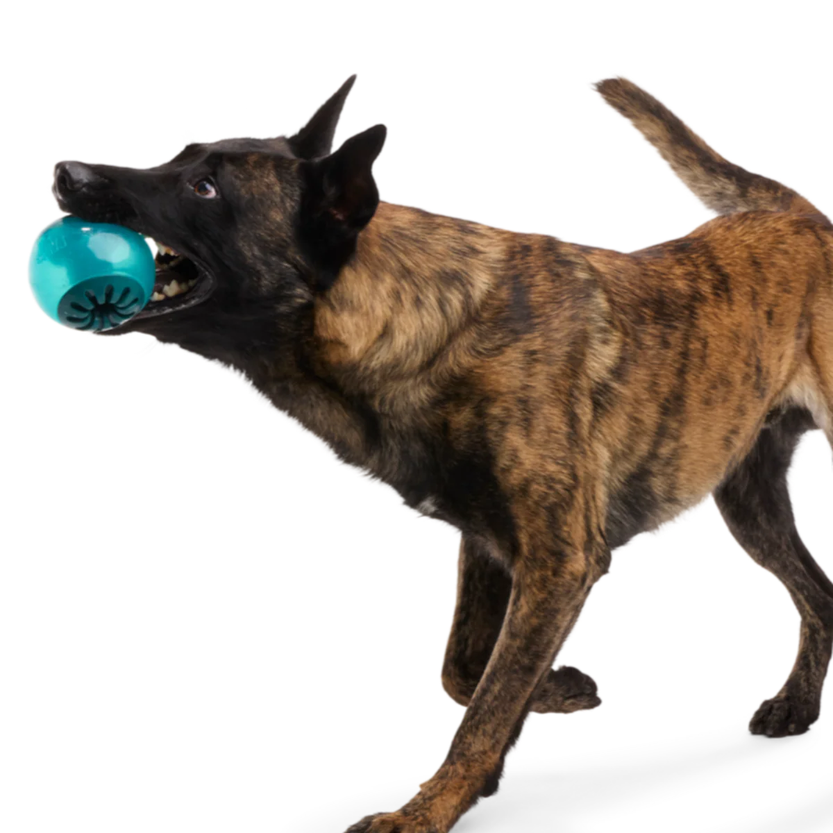 Teal Vortex Durable Super Chewer Enrichment + Fetch Dog Toy