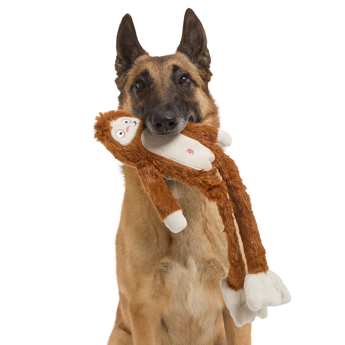 Hairy Henderson Plush Tug + Extra-Large Dog Toy