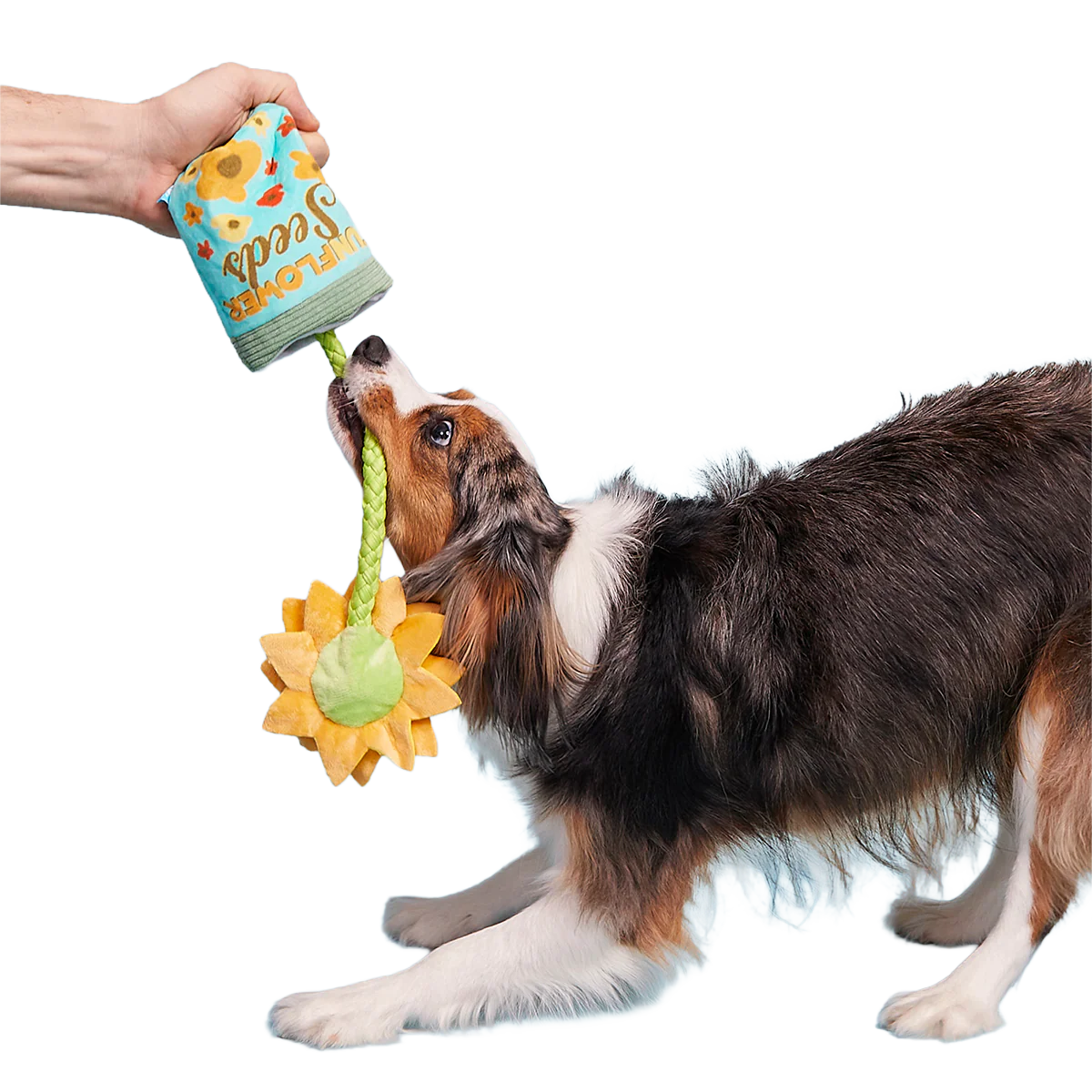 Funflower Seeds Plush Tug Dog Toy