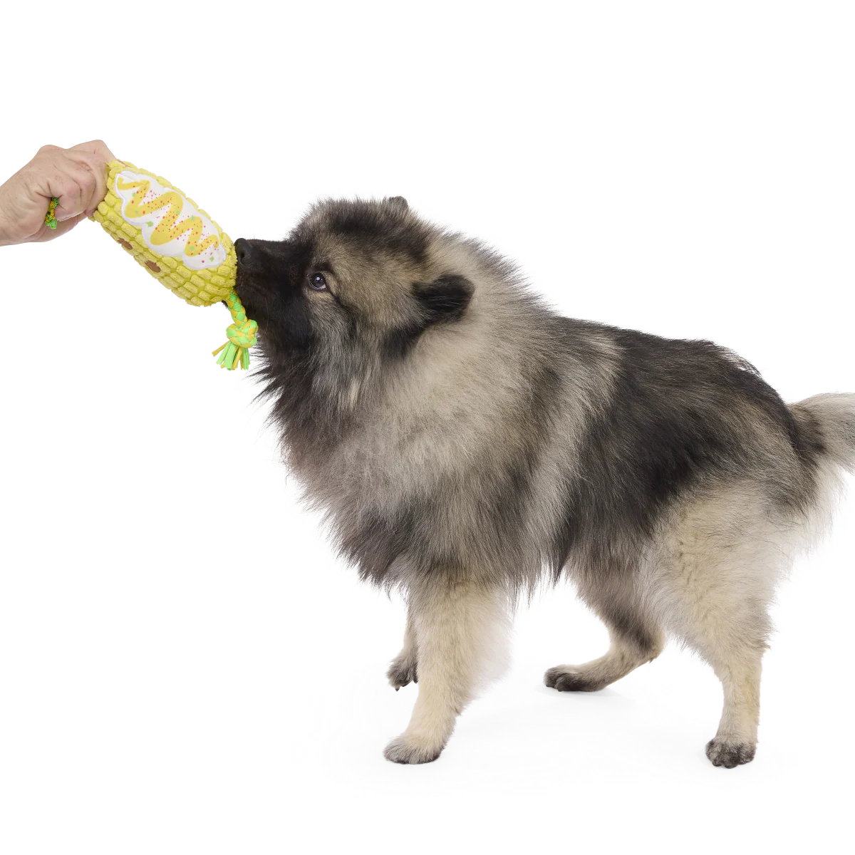 Corn On The Tug Plush Dog Toy