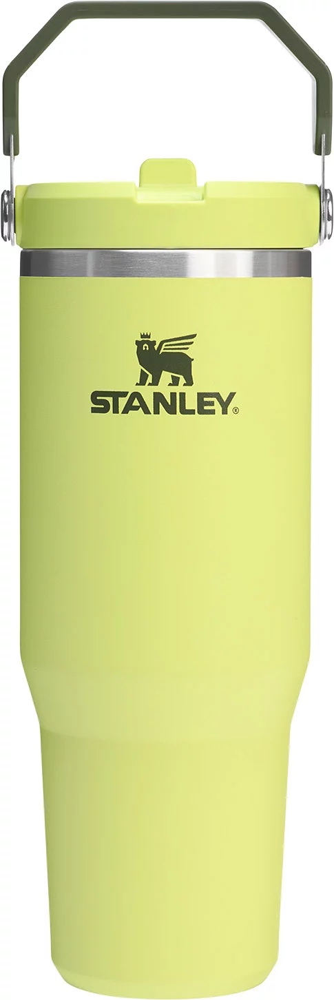 Stanley 30 oz. IceFlow 2.0 Flip Straw Tumbler - Prickley Pear
