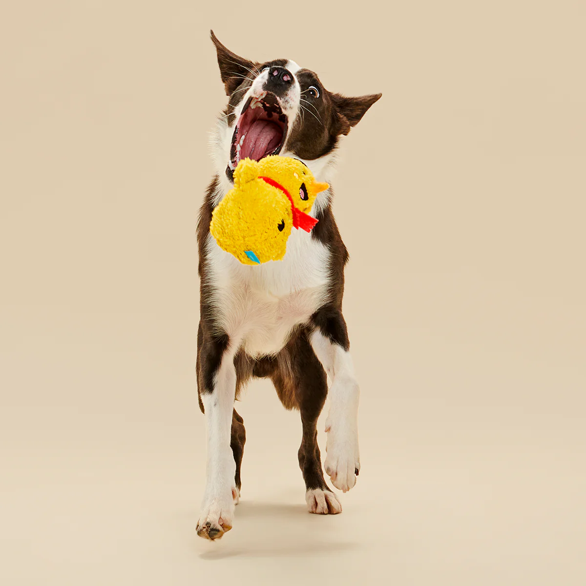 Mark the Yellow Snowman Plush Dog Toy