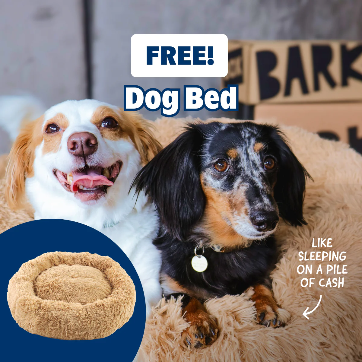 Free Cuddler Dog Bed (Sand)!