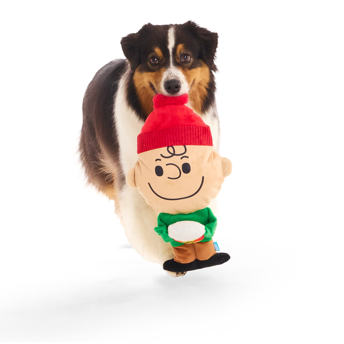 Hot Chocolate Charlie Brown Plush Extra-Large Dog Toy