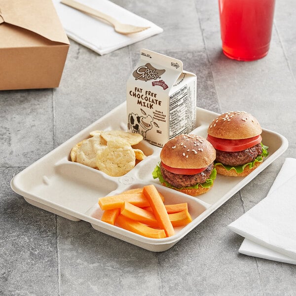 World Centric's 5 Compartment School Tray TR-SC-5C