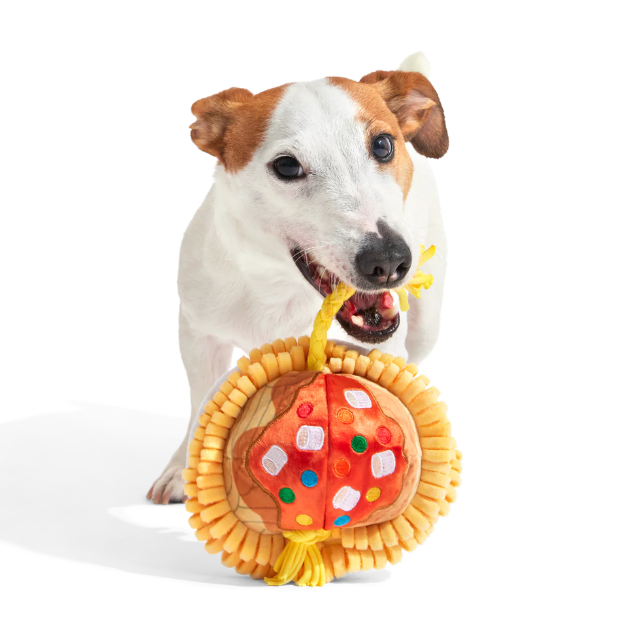Candy Squeakghetti Plush Tug Dog Toy