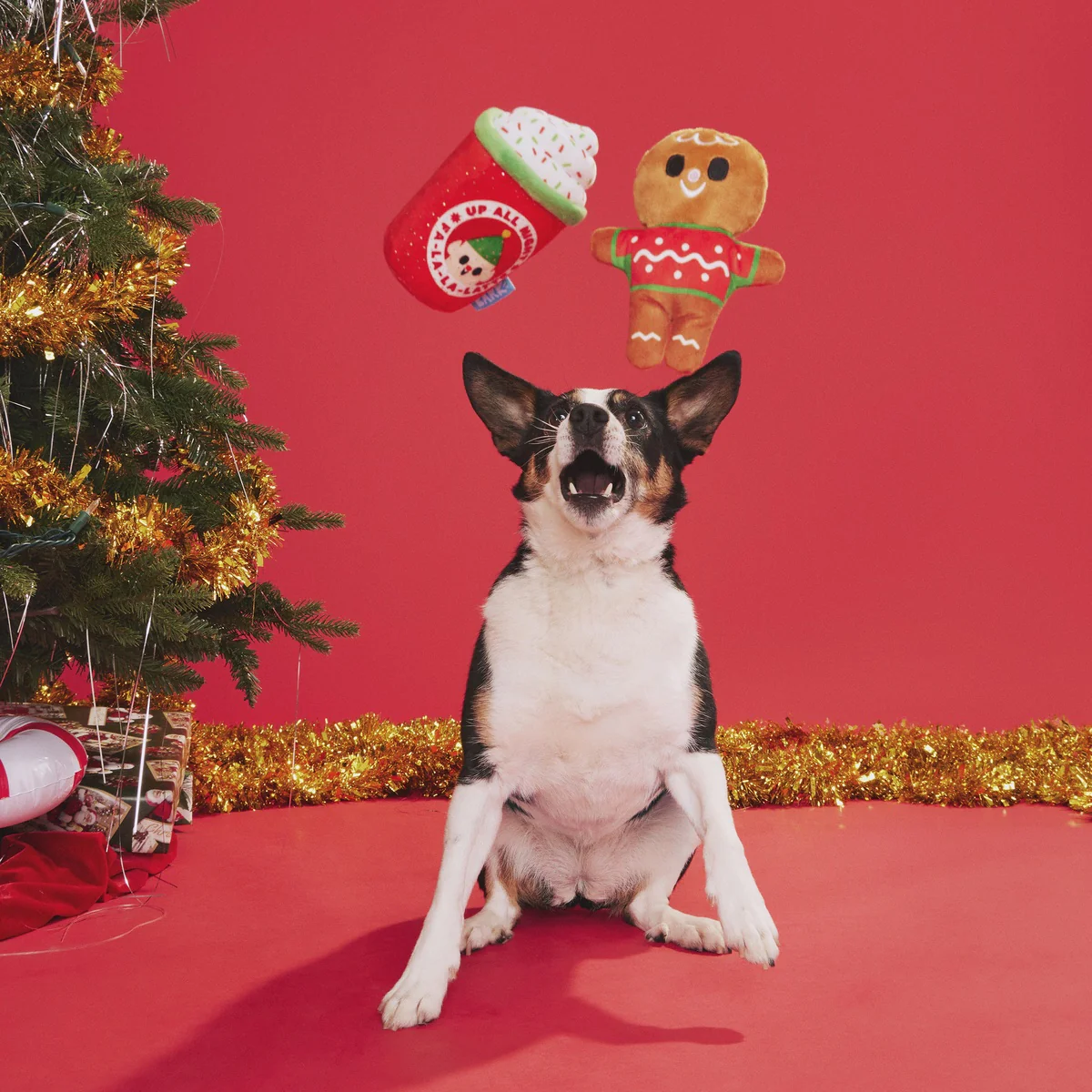 Ginger Brew Crew Plush Multi-Part Dog Toy
