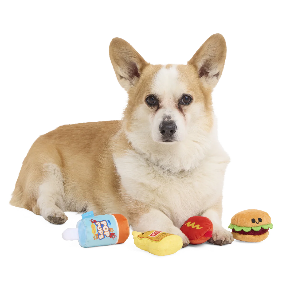 The Bark-B-Q Bunch Plush Multi-Part Dog Toy
