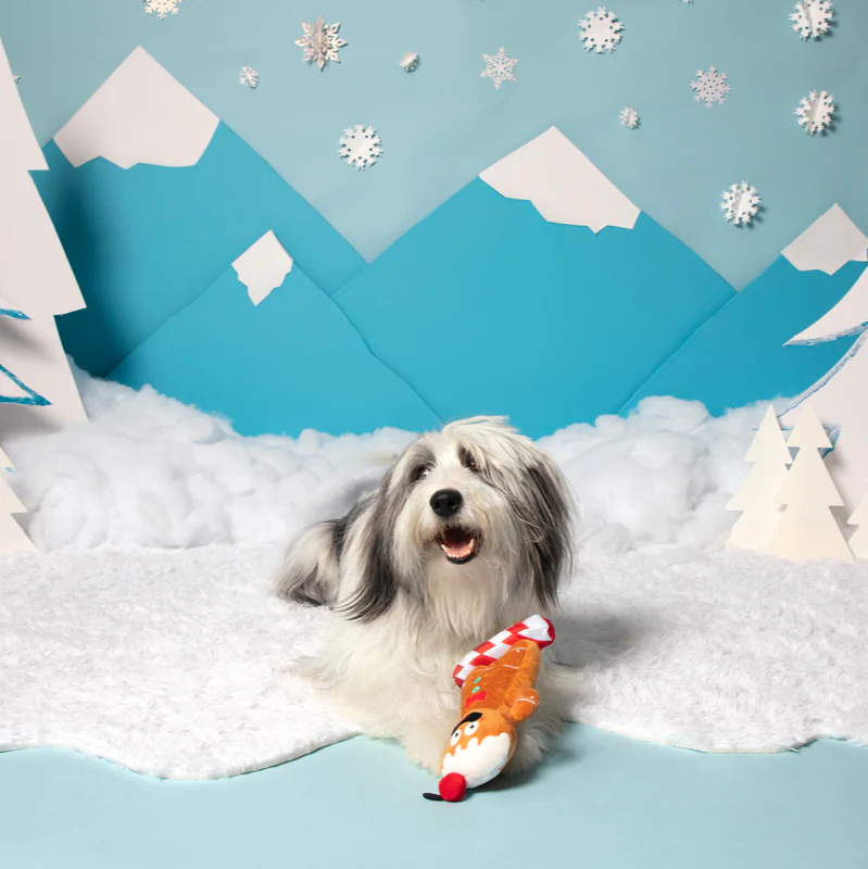 Gingershred Man Plush Tug Dog Toy