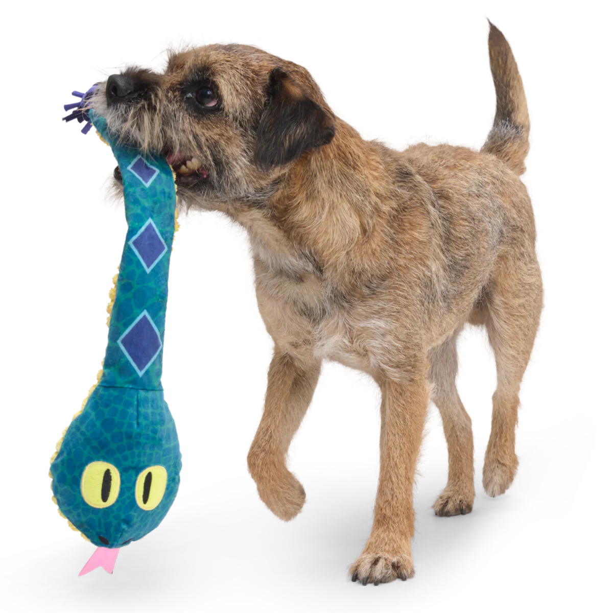 Bea The Titanoboa Plush Tug Dog Toy