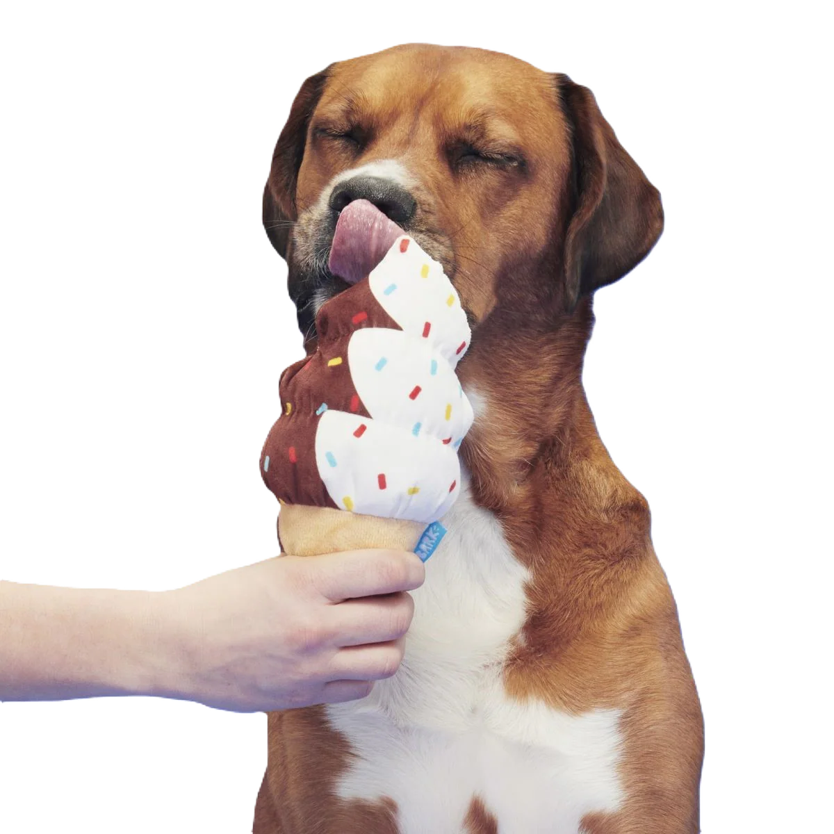 Ice Cream Carn Plush Tug Dog Toy