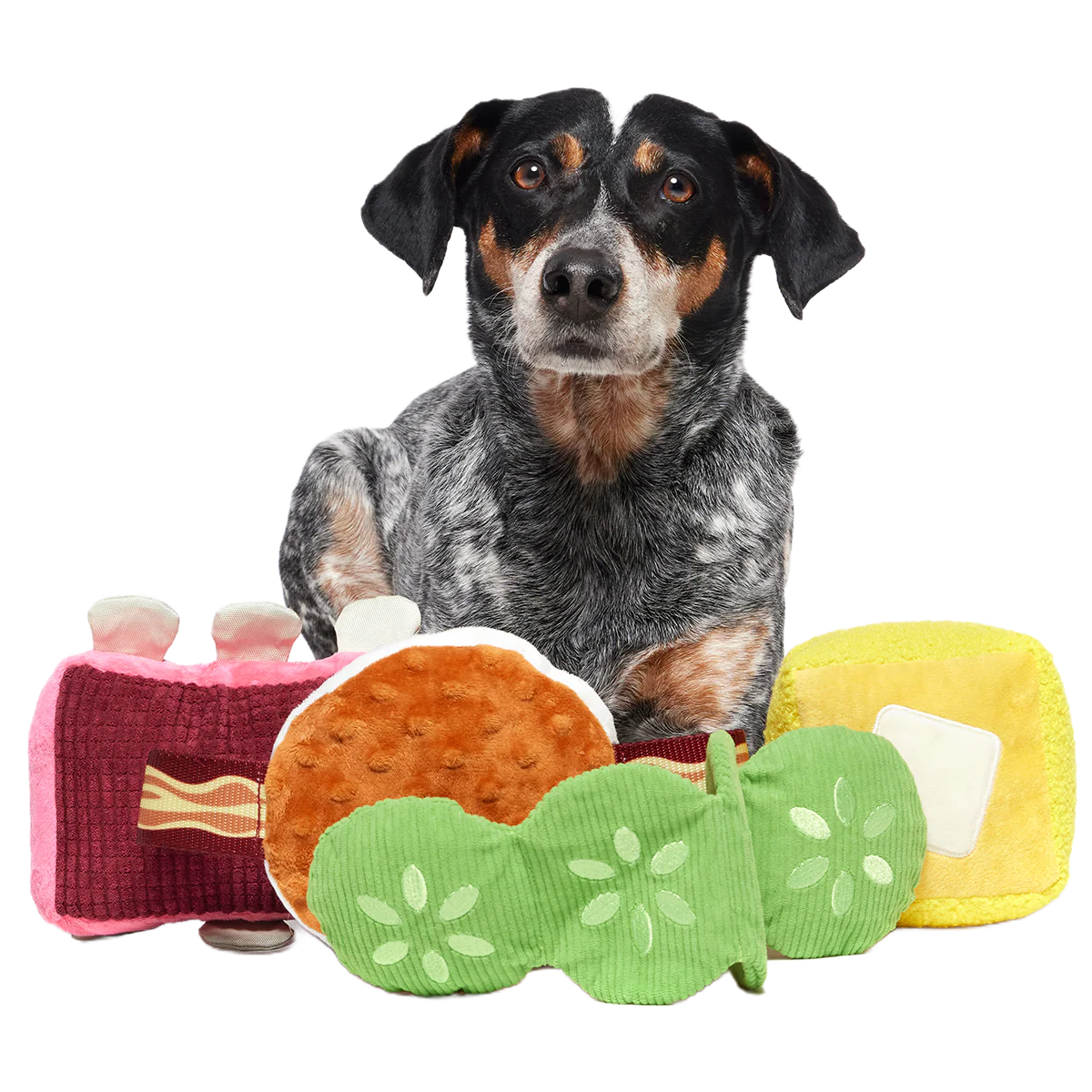 Squeak & Three Plush Multi-Part Dog Toy