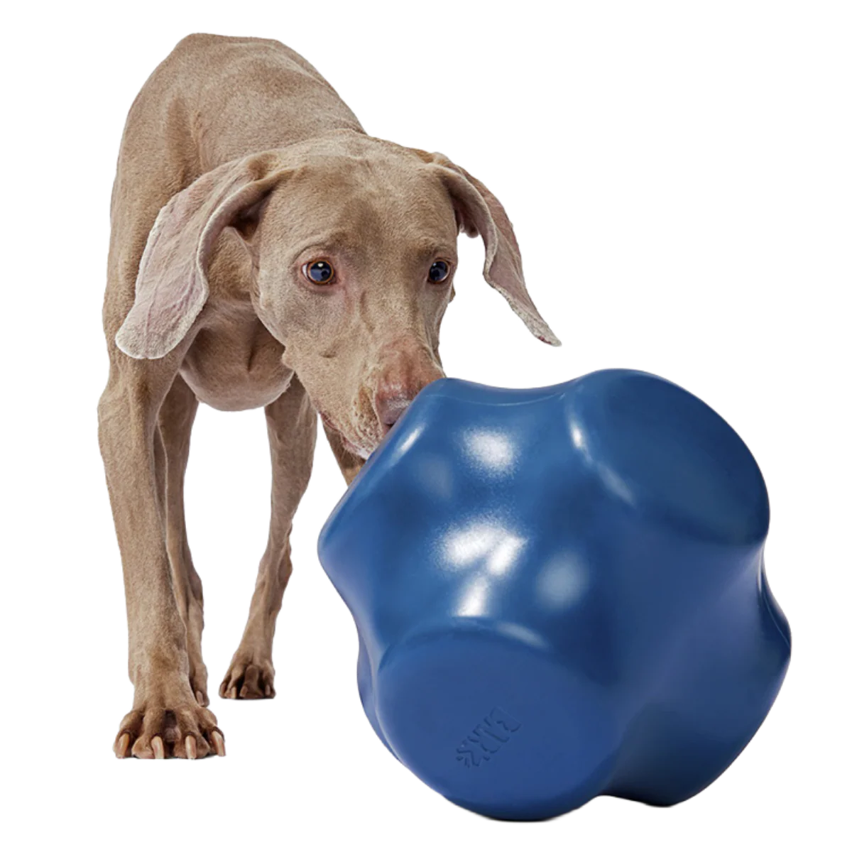 Bolder Super Chewer Durable Extra-Large Enrichment Dog Toy