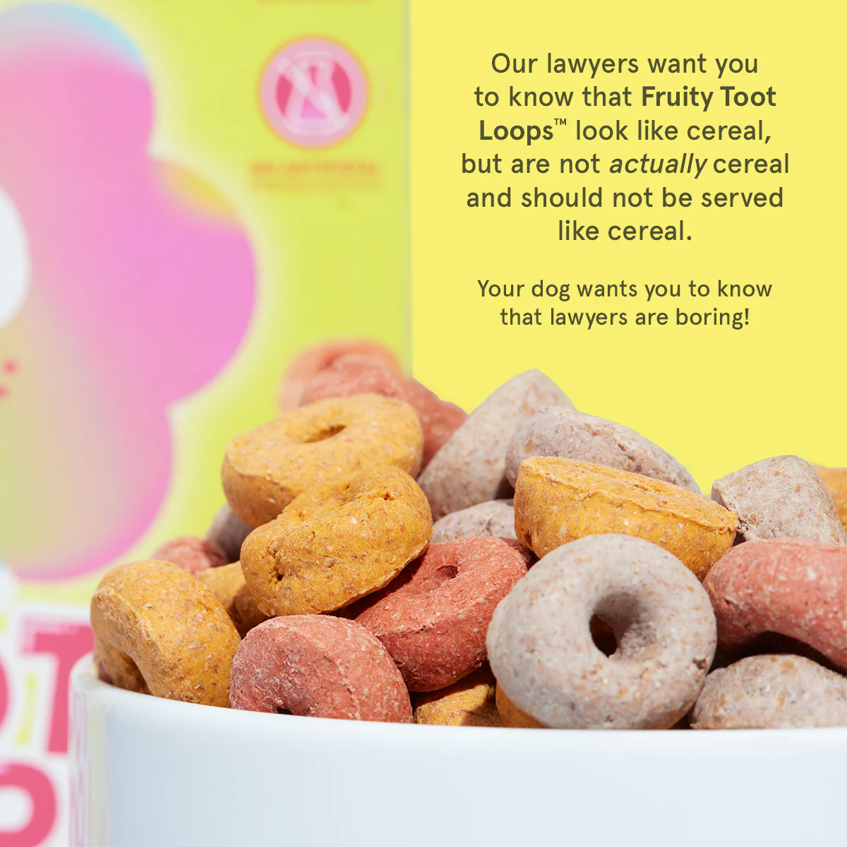Tooty Fruit Loops™ Mixed Berry Blend Hard & Crunchy Dog Treats, 10 oz