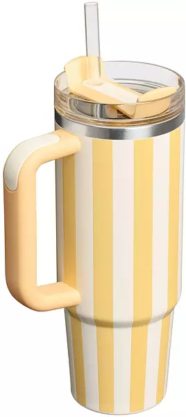Stanley 30 oz. Quencher H2.0 FlowState Tumbler - Oasis Collection - luluinthesky