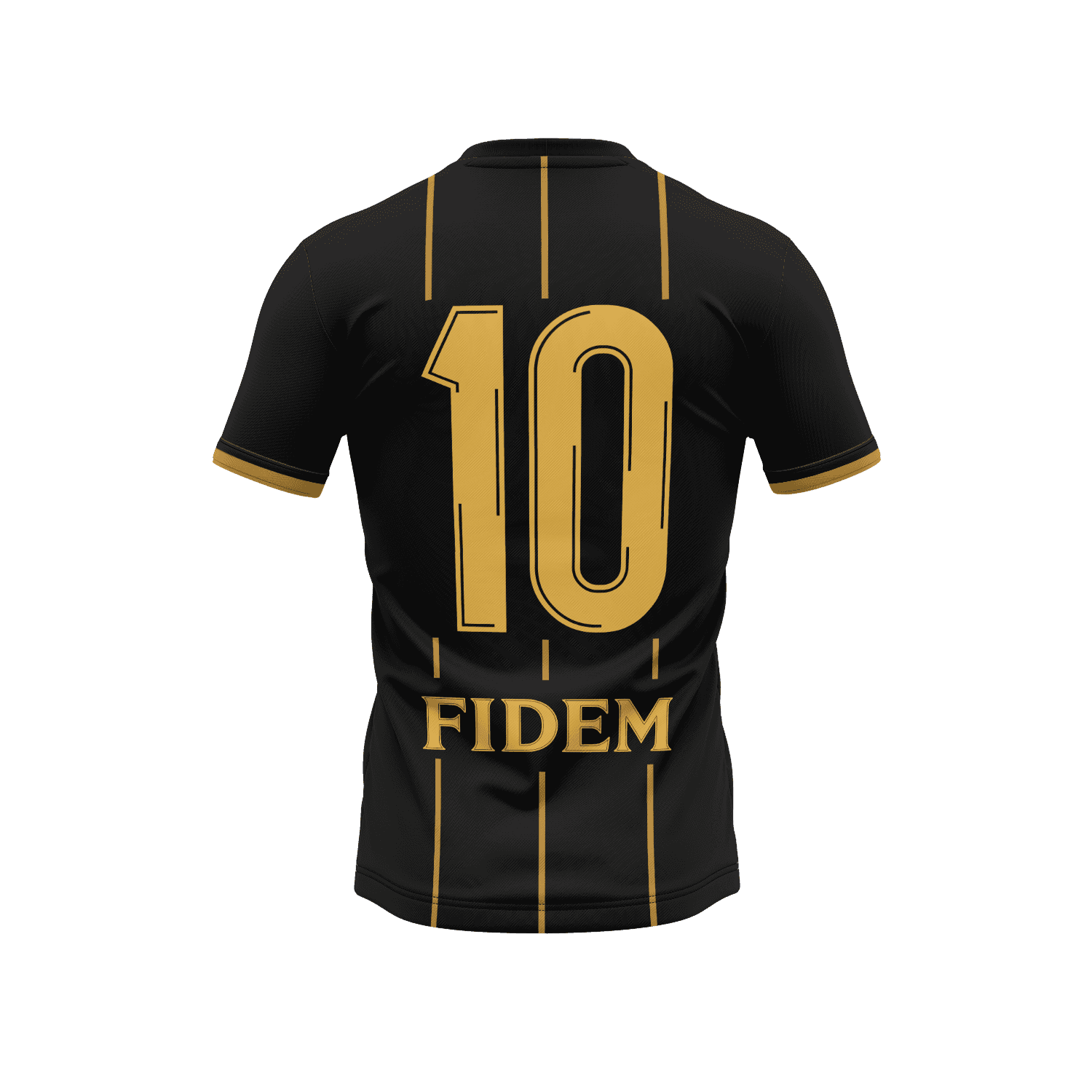 FC FIDEM Kit Design - Back