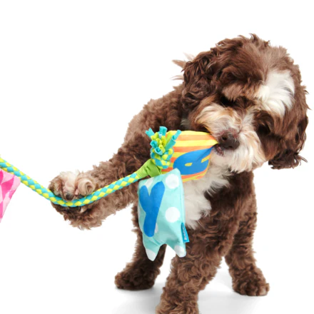 Happy Yay Banner Plush Tug Dog Toy