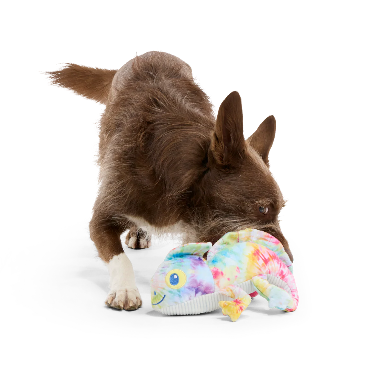The Lizard King Plush Dog Toy