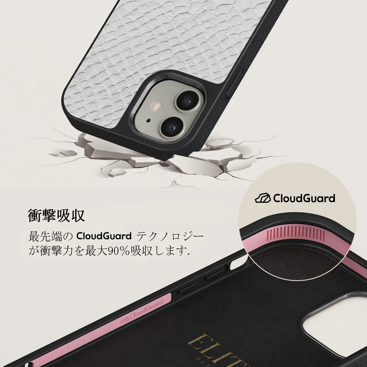 Glacial Desert - White Snakeskin iPhone 12 ケース