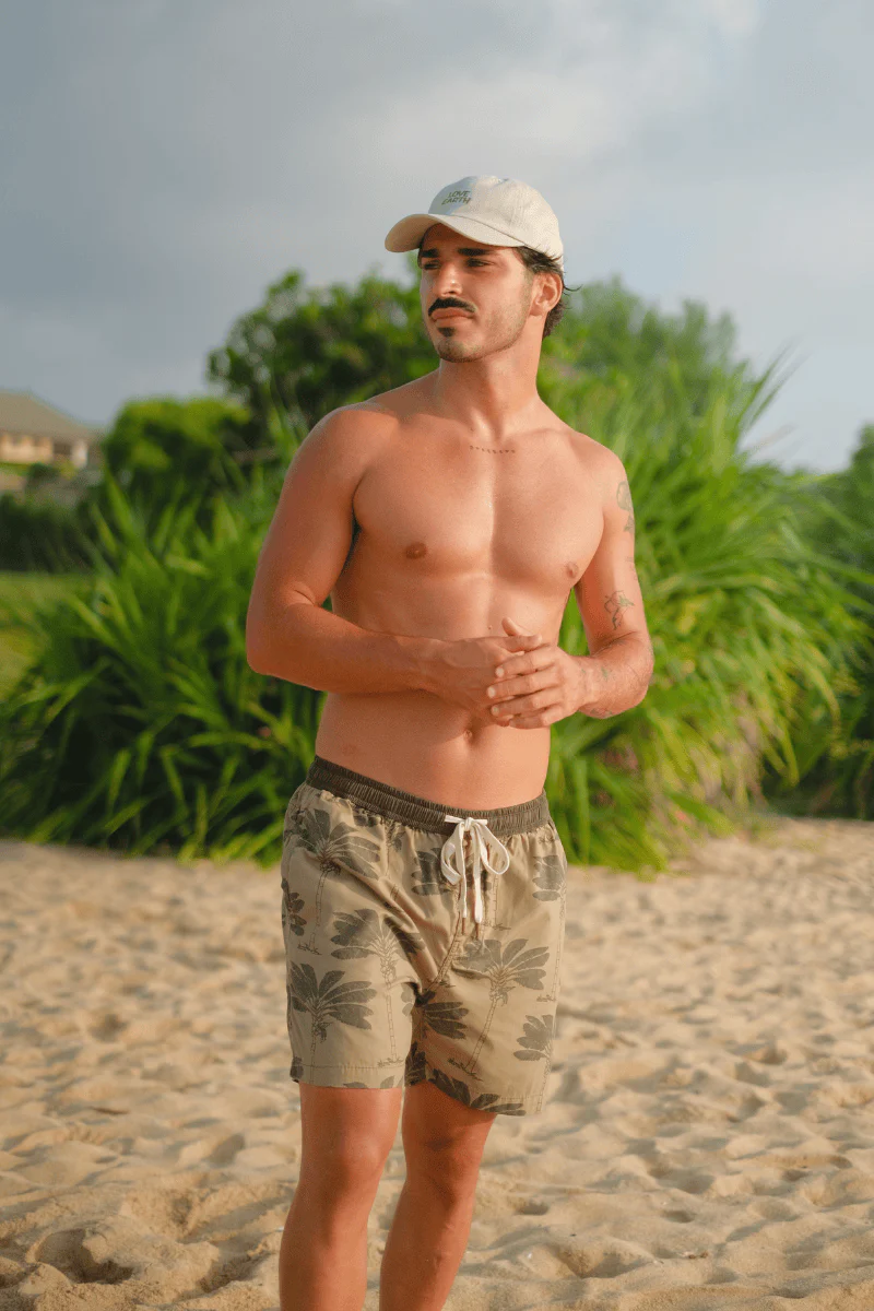 Traveller Palm Short