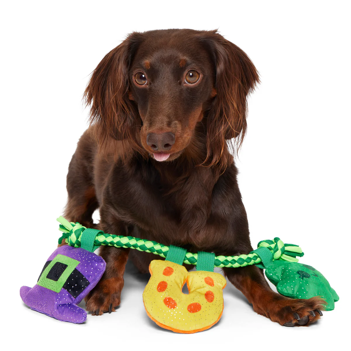 Tuggy Charms Plush Tug Dog Toy