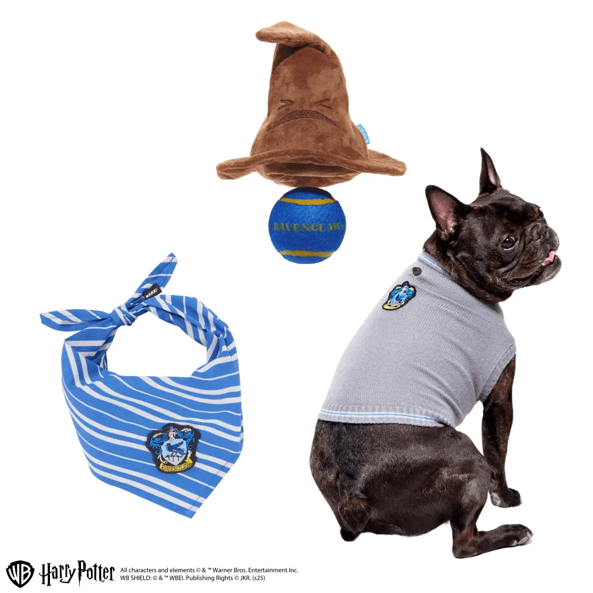 Ravenclaw™  Bundle
