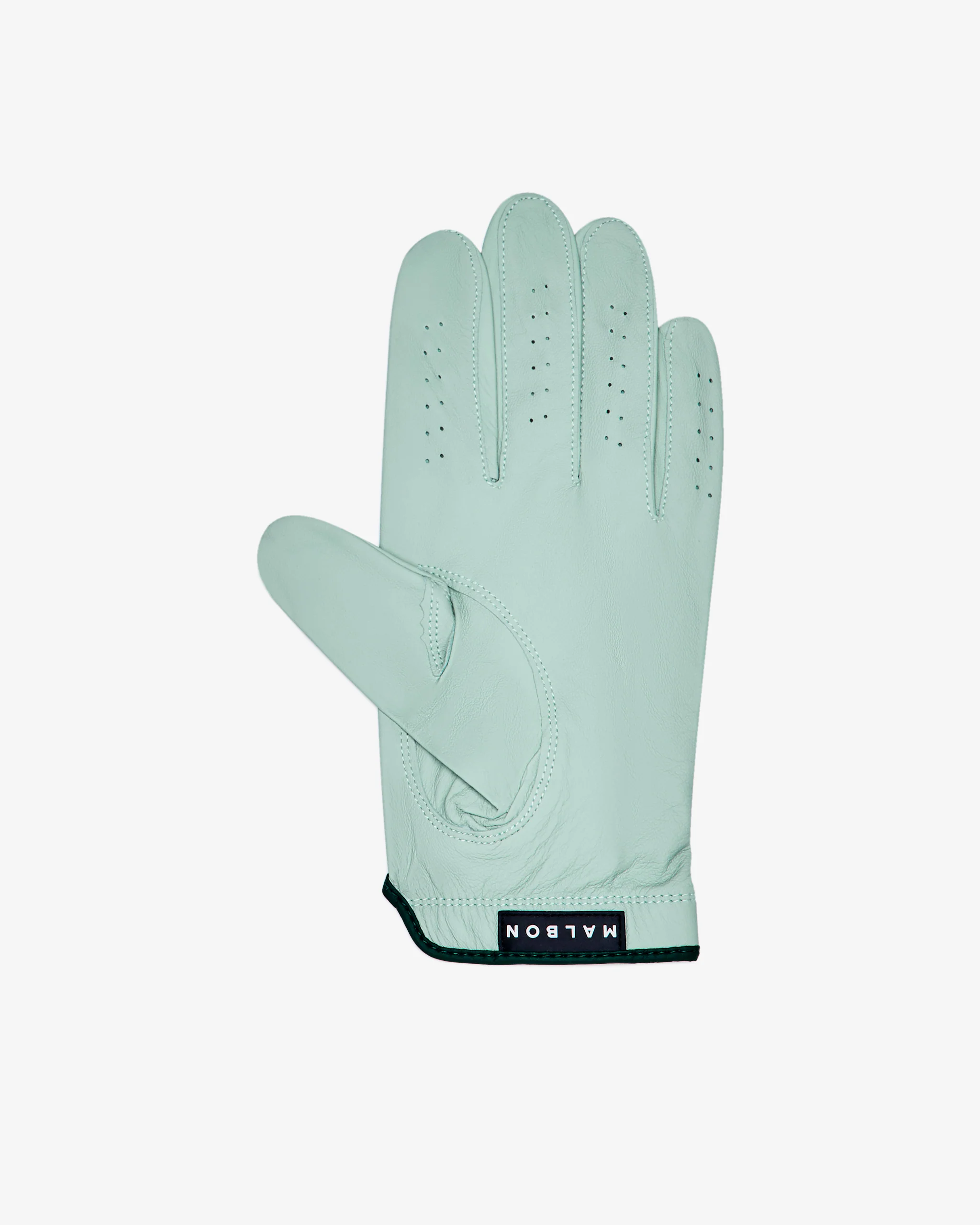Palmetto Glove
