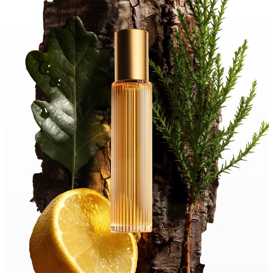 Tom Ford Signature Eau de Parfum Spray Costa Azzurra