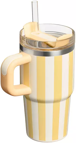 Stanley 20 Oz. Quencher H2.0 Flowstate Tumbler - Oasis Collection