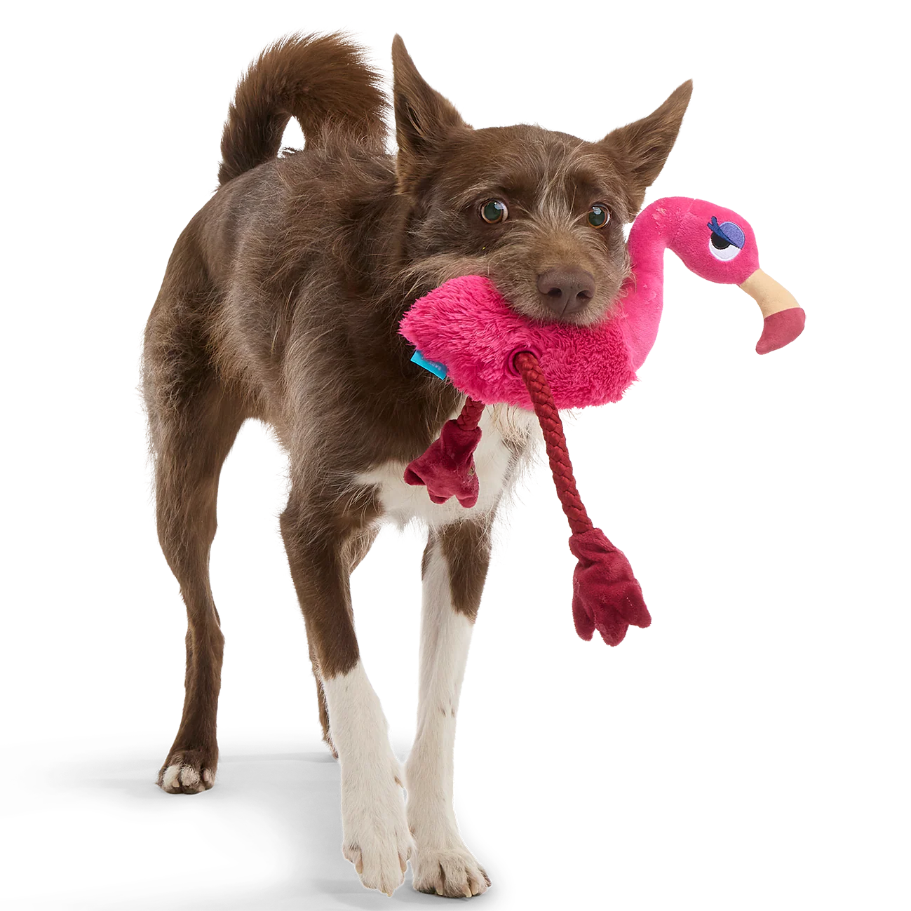 Fahari Flamingo Plush Tug Dog Toy