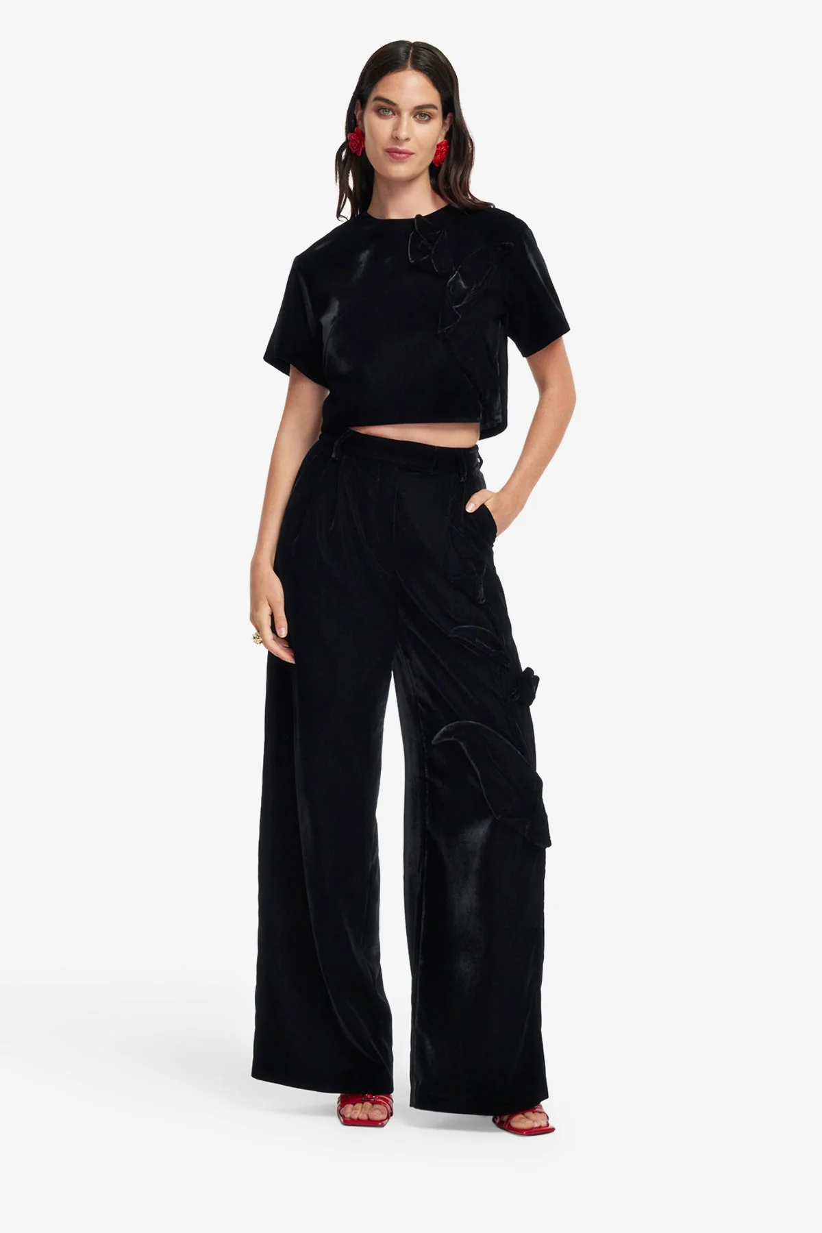Indie Velvet Sleeve Top - Ebony