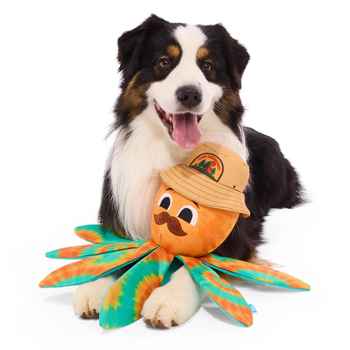 Ollie the Octopus Club, Plush Tug Monthly Dog Toys