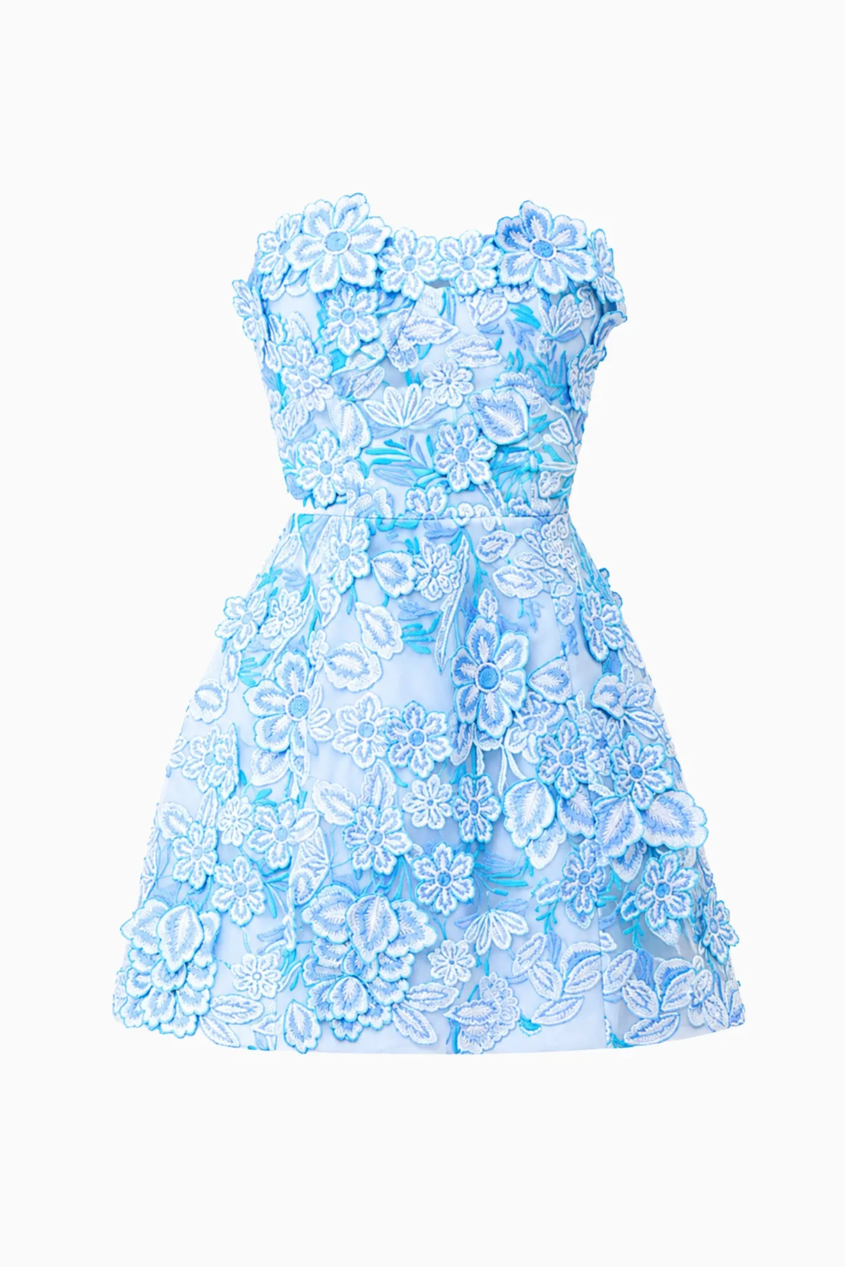 Roseate Floral Mini Dress in Blue