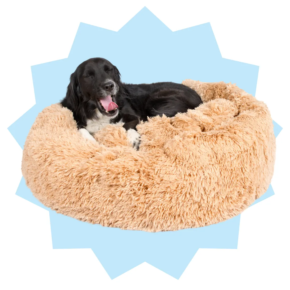 Free Cuddler Dog Bed (Sand)!