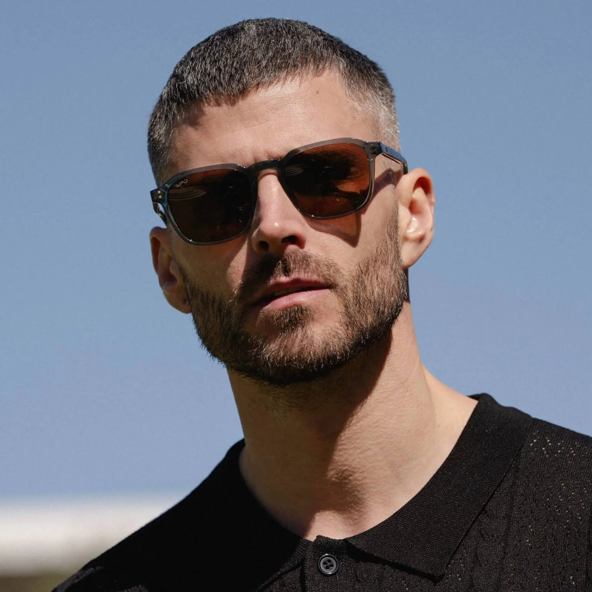 Francis | Polarized