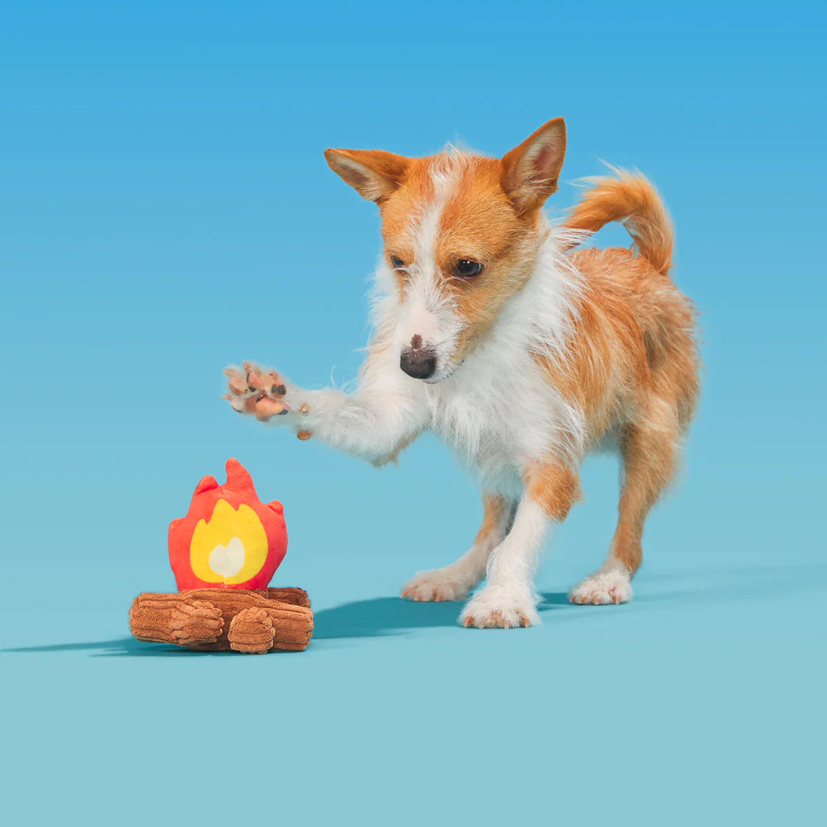 A'Hound The Campfire Plush Tug Dog Toy