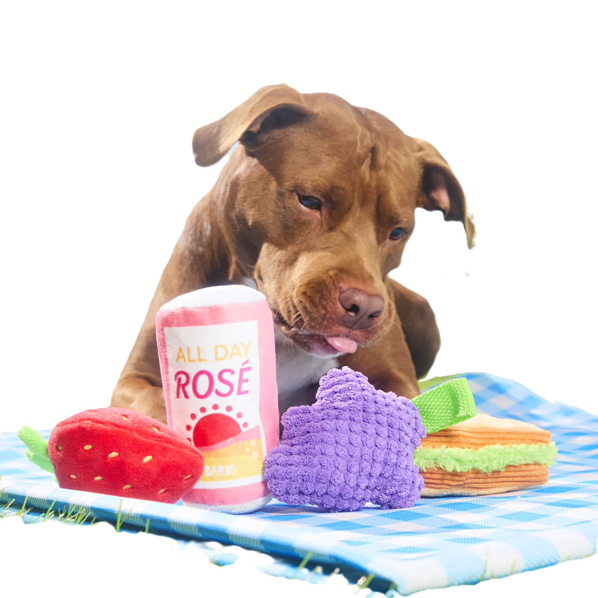 Licknic Pack Plush Multi-Part Tug Dog Toy