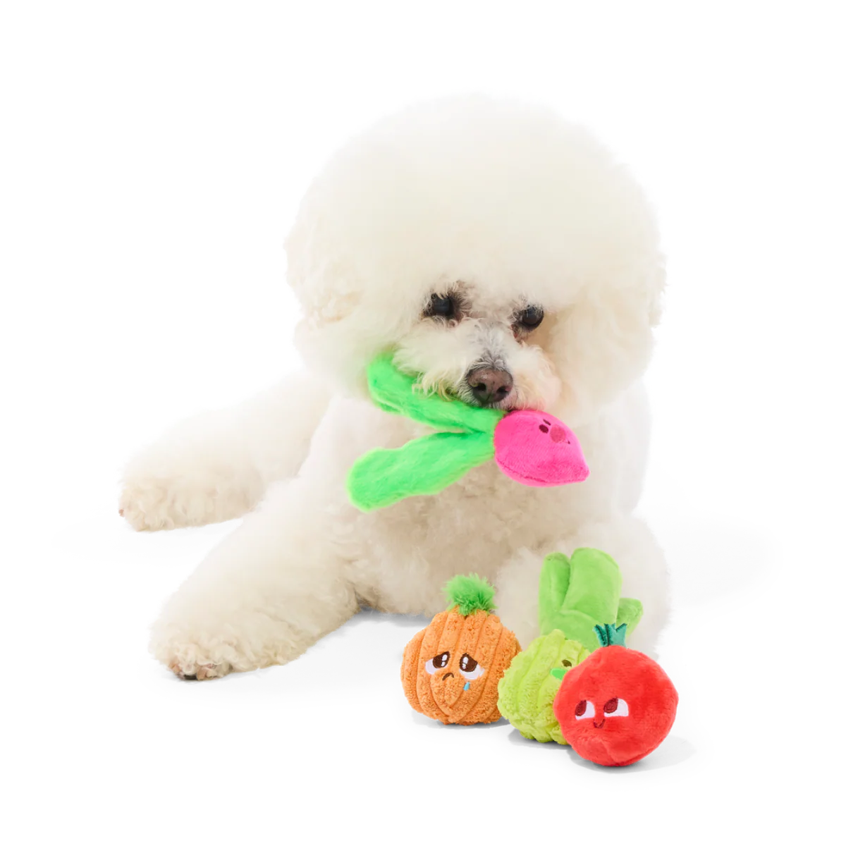Garden Party Plush Multi-Part Tug + Fetch Dog Toy