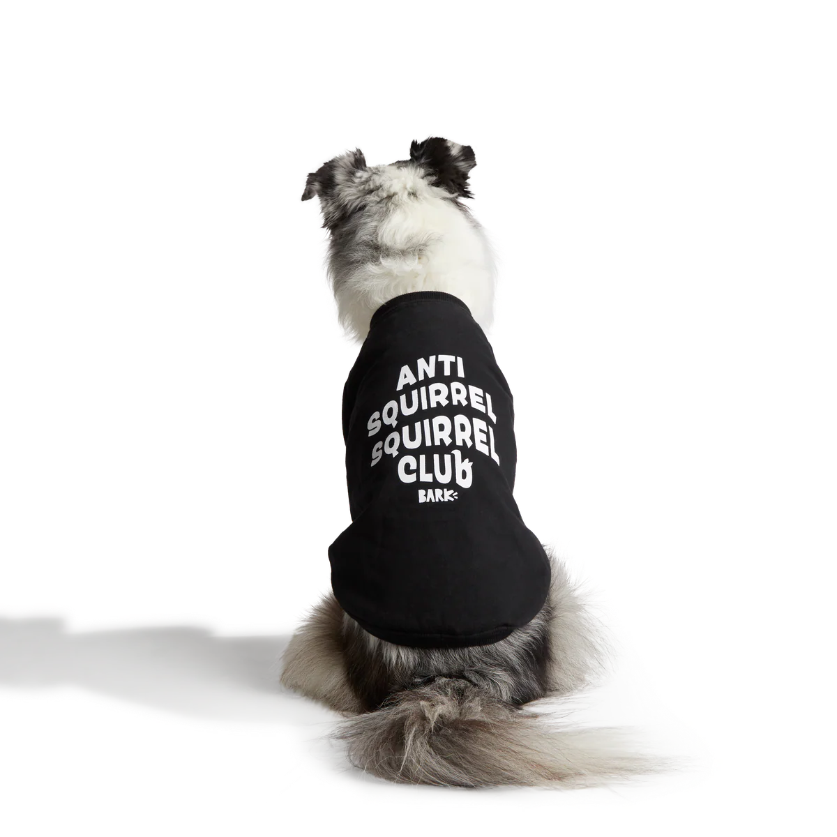 Anti-Squirrel Squirrel Club Dog Sweatshirt